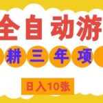 （19976期）AI全自动游戏打金和皮肤扫货，规模化运营日入10张，深耕三年老项目！-网创在线
