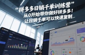 拼多多日销千单训练营，从0开始带你做好拼多多，让日销千单可以快速复制(更新26年8月)-网创在线