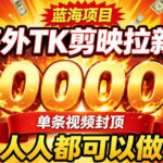海外TK拉新最新玩法，剪映就能做，不用经验不用粉丝，单条视频收益上限2W+-网创在线