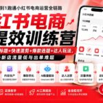 小红书电商AI提效训练营—DeepSeek批量标题+快速混剪+爆款选题+达人玩法，解决新店流量低与出单难题-网创在线