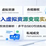 低投入虚拟资源变现实战课：合规版权类目解析，多平台SEO引流私域成交-网创在线