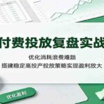 微付费投放复盘实战课：优化消耗浪费难题，搭建稳定高投产投放策略实现盈利放大-网创在线
