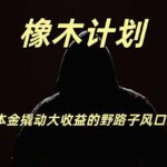 橡木计划，小投入撬动高回报的风口野路子项目，一天投入2小时左右-网创在线