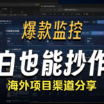 抖音爆款数据监控工具_海外网盘拉新渠道-网创在线