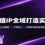 高价值IP全域打造实战课：IP定位人设搭建，产品设计，剪辑私域变现全套落地教学-网创在线