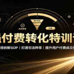 强付费转化特训课：完整实操拆解SOP，打通引流种草，提升用户付费成交转化率-网创在线