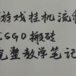 游戏挂G全流程笔记分享，CSGO游戏搬砖，小白看了当天学会见收益【揭秘】-网创在线