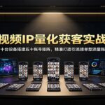 短视频IP量化获客实战课：用十台设备搭建五十账号矩阵，精准打造引流接单型流量账号-网创在线