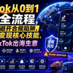TikTok从0到1运营全流程，手把手教你避开合规陷阱，掌握流量变现核心技能，快速落地TikTok出海生意（更新8月）-网创在线