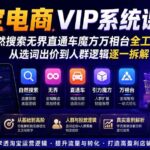 （19811期）淘宝电商VIP系统课-更新8月；自然搜索无界直通车魔方万相台全工具详解，从选词出价到人群逻辑逐一拆解-网创在线