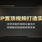 个人IP置顶视频打造实战课：手把手制作高转化置顶片，搭建稳定短视频获客体系-网创在线