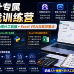 财会审计专属AI实战训练营｜AI协同编程+Python审计工具箱+Excel VBA加载项落地（更新0816）-网创在线