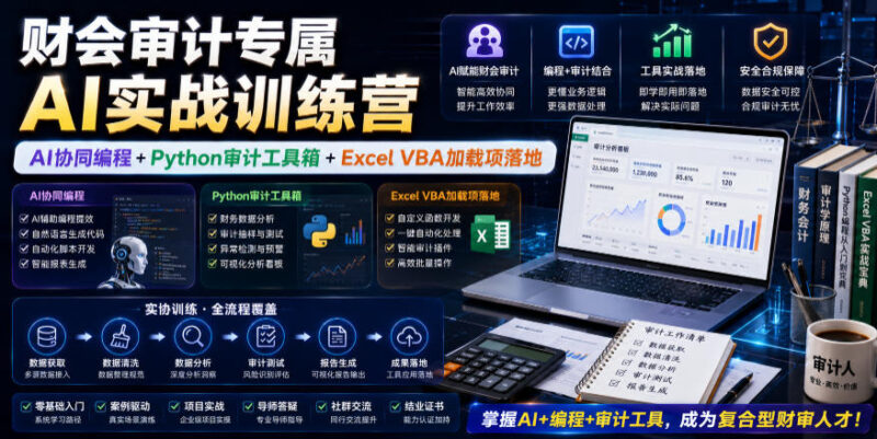 财会审计专属AI实战训练营|AI协同编程+Python审计工具箱+Excel VBA加载项落地(更新0816)-网创在线