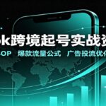 TikTok跨境起号实战资料包：养号SOP，爆款流量公式，广告投流优化素材-网创在线