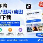 （20166期）水印鸭–短视频/图片/动图无水印下载，更新支持抖音、快手，小红书，新增豆包、即梦ai、qq频道、视频号等共20个平台-网创在线