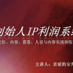 创始人IP利润系统8月训练营，定位、内容、获客、人设与内容实战训练营-网创在线