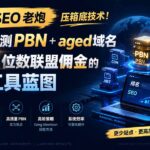 13 年 SEO 老炮压箱底技术!打造防检测 PBN+aged 域名,复制 8 位数联盟佣金的排名工具蓝图【原创双语字幕】-网创在线
