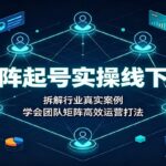 矩阵起号实操线下课：拆解行业真实案例，学会团队矩阵高效运营打法-网创在线