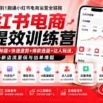 （19749期）小红书电商AI提效训练营—DeepSeek批量标题+快速混剪+爆款选题+达人玩法，解决新店流量低与出单难题-网创在线