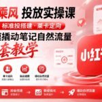 小红书乘风投放-100分钟实操课｜开户返点·标准投搭建·莱卡定向，新店建模撬动笔记自然流量全套教学-网创在线