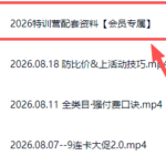 拼多多实战特训营(更新26年0821-网创在线