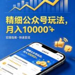 精细公众号玩法，月入10000+，实操指南，快速变现-网创在线
