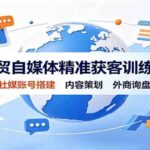 外贸自媒体精准获客训练营：海外社媒账号搭建，内容策划，外商询盘转化-网创在线