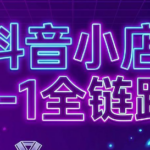 兵哥电商·抖音小店从0到1全链路(更新7月)-网创在线