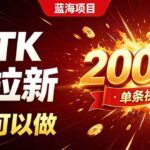 海外TK拉新新玩法，剪映就能做，不用经验不用粉丝，单条视频收益上限20000+-网创在线