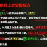 （19562期）2026拼多多AI智创+利润爆破双核特训营-更新：拆解2026年7月最新玩法，0-1打爆SOP-网创在线