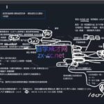 猴帝1600线上课(更新8月)-网创在线
