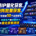 短视频IP量化获客，主打矩阵批量获客，10台设备可搭建50个运营账号，从账号搭建、内容生产到流量放大，形成可复制的量化获客闭环-网创在线