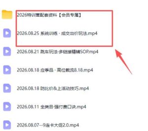 (20092期)拼多多实战特训营(更新26年0827):不管是新手入门或老商家冲量,都有实操方法,跟着学,少走弯路-网创在线