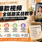 （19860期）IP+爆款视频训练营全链路实战教学；赛道定位+起号+爆款创作+私域引流+商业变现，搭建专属个人流量体系-网创在线