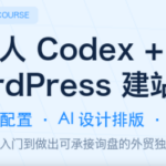 大卫·外贸人Codex + WordPress建站课(更新8月)-网创在线