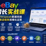 2026-Vincent eBay全域增长实战课-无水印：从选品开发、Terapeak数据挖掘到广告投放与多店矩阵规模化运营-网创在线