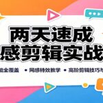 两天速成网感剪辑实战课：基础功能全覆盖，网感特效教学，高阶剪辑技巧与接单思路-网创在线