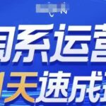淘系运营21天速成班，0基础轻松搞定淘系运营，不做假把式，快速复制落地(更新26年8月)-网创在线