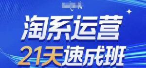 淘系运营21天速成班,0基础轻松搞定淘系运营,不做假把式,快速复制落地(更新26年8月)-网创在线