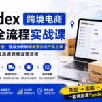Yandex跨境电商运营全流程实战课：从人民币店铺注册、选品分析到物流定价与产品上架，系统跑通跨境运营流程-网创在线