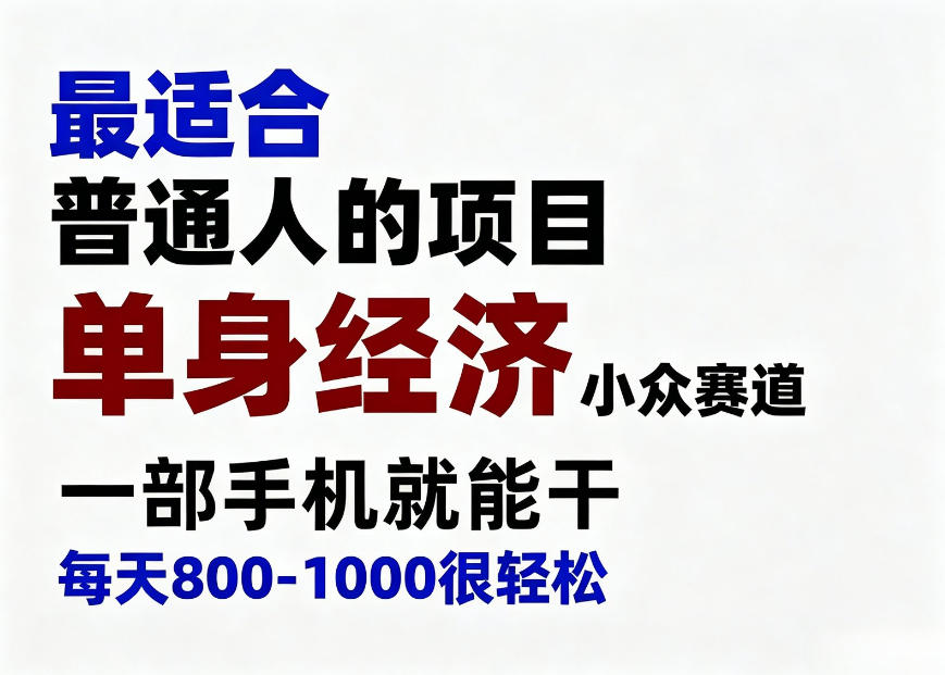身经济小众赛道，一部手机就能干，每天搞个800-1000很轻松，最适合普通人的项目【揭秘】-网创在线