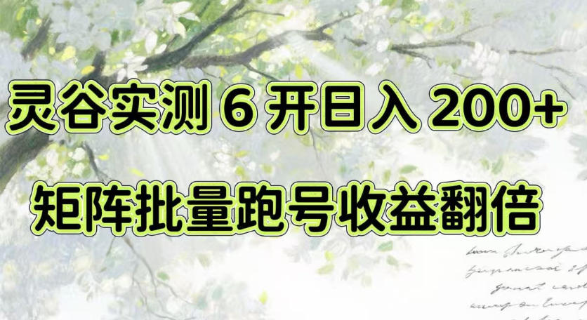 一台电脑就能做！灵谷实测6开日入200+，矩阵批量跑号收益翻倍【揭秘】-网创在线