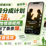 视频号分成计划新玩法，反向良性情感视频，真正做到了条条爆，槽点很强，小白副业首选项-网创在线