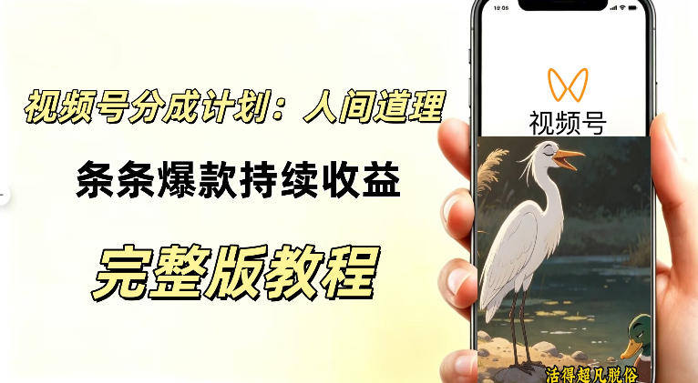 视频号新玩法之AI动漫画风励志视频，不用会画画、不用拍摄，持续化收益，详细拆解-网创在线
