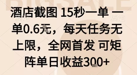 酒店截图15秒一单，一单0.6米，每天任务无上限，全网首发可矩阵单日收益3张【揭秘】 - 网创在线