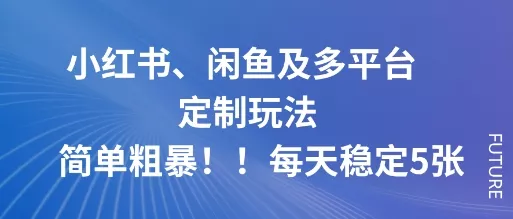 小红书、闲鱼及多平台定制玩法简单粗暴！每天稳定5张 - 网创在线