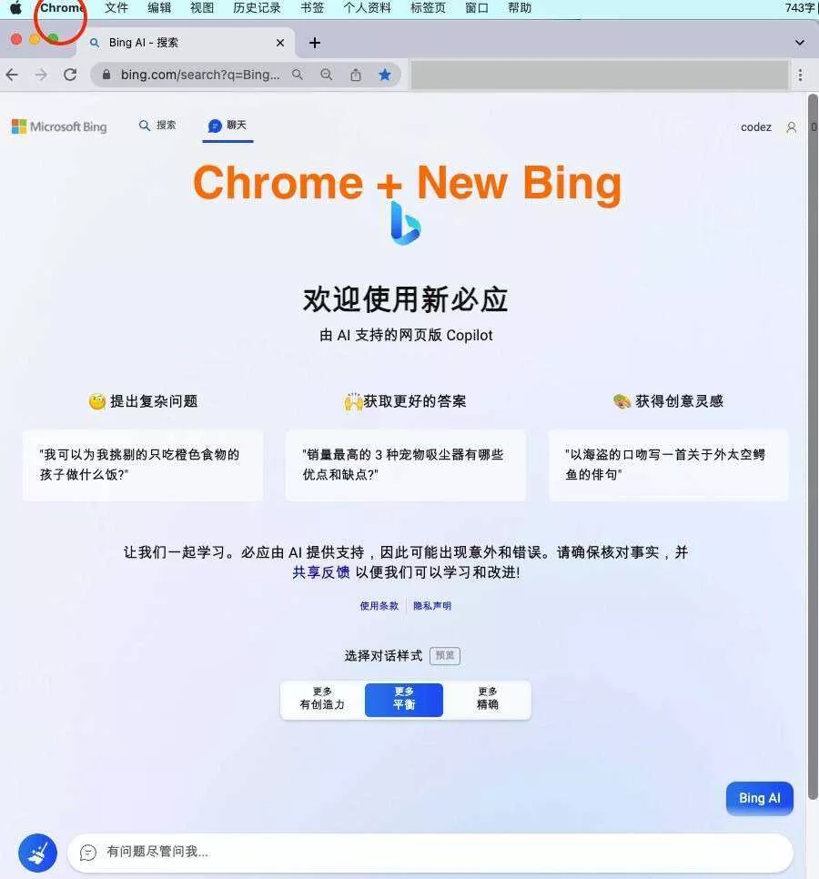 微软New Bing完美聊天机器人源码，支持ChatGPT提示词 国内可用，基本兼容微软 Bing AI 所有功能 - 网创在线