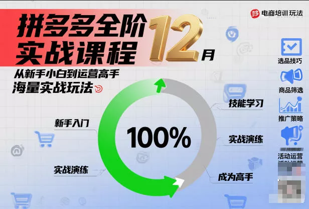拼多多全阶实战课程12月，从新手小白到运营高手，海量实战玩法 - 网创在线