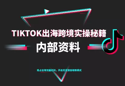 TikTok跨境电商0-1搭建运营(更新10月) - 网创在线