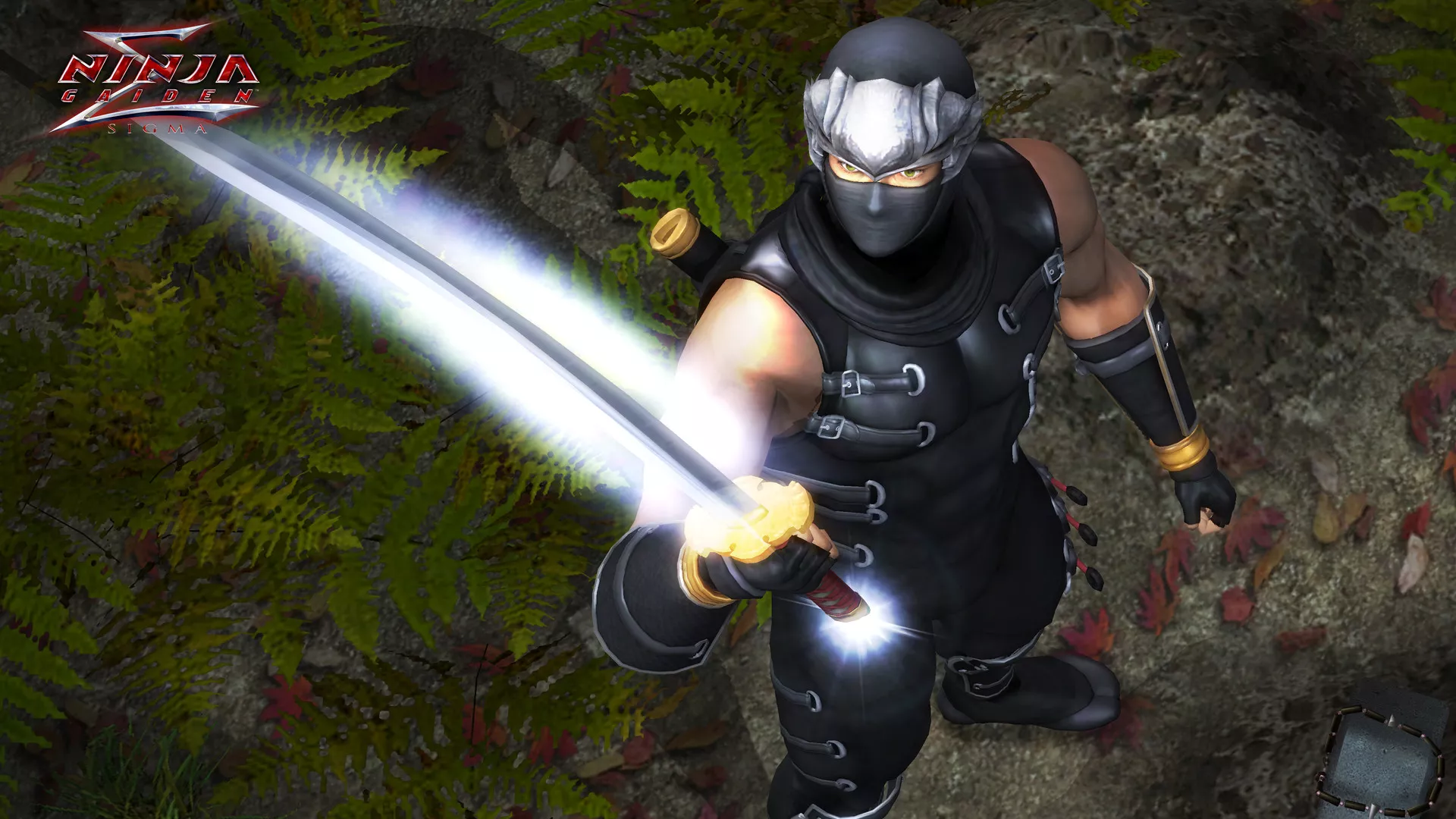《忍者龙剑传：大师合集/NINJA GAIDEN: Master Collection》PC中文版下载-含v1.0.0.3 - 网创在线